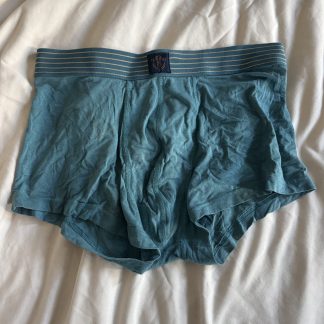 Dustin's teal boxers