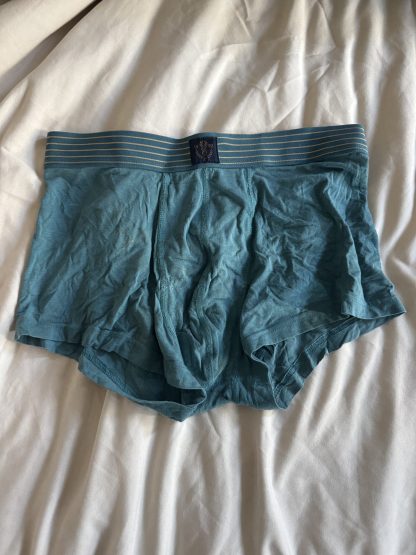 Dustin's teal boxers
