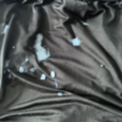 Todd's C*m on Boxers - Image 3