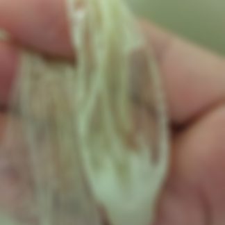 Alex99's C*m Filled C0ndom