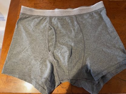 Scrho's Grey Underwear - Image 2