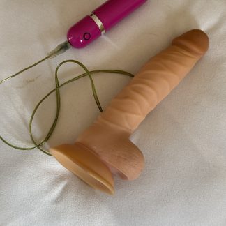 TwinkJ's 8inch Dildo