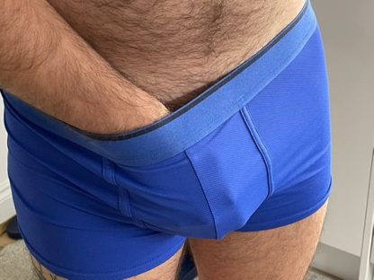 Scrho’s Blue Trunks - Image 4