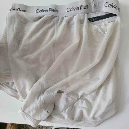 Undilad's White Ck boxer - Image 2