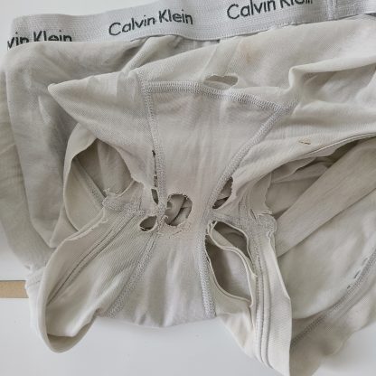 Undilad's White Ck boxer - Image 3