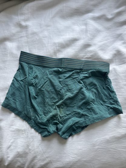 Theo's teal cum boxers - Image 4