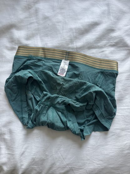 Theo's teal cum boxers - Image 3