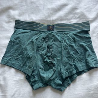 Theo's teal cum boxers - Image 2
