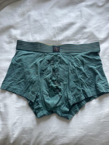 Theo's teal cum boxers - Image 2