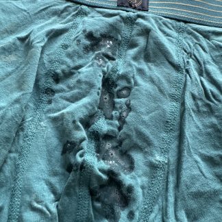 Theo's teal cum boxers