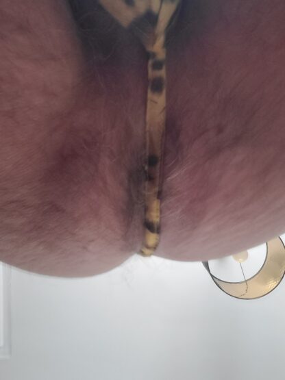 Undilad's Tiger print Cum Thong Size Large - Image 3