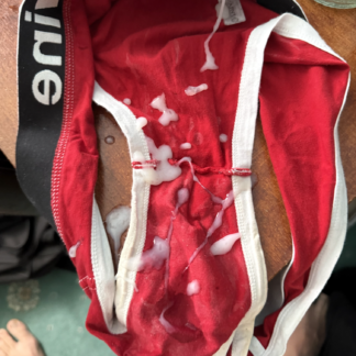 JamiesLever's triple loaded briefs
