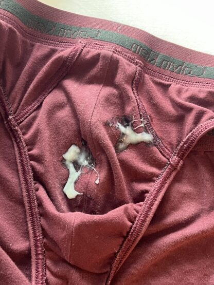 AirlineJosh's Faithful old Calvins - Image 3