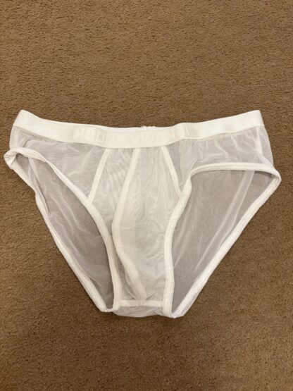 Wejargong's Modus Vivendi Sheer Mesh Briefs - Image 3